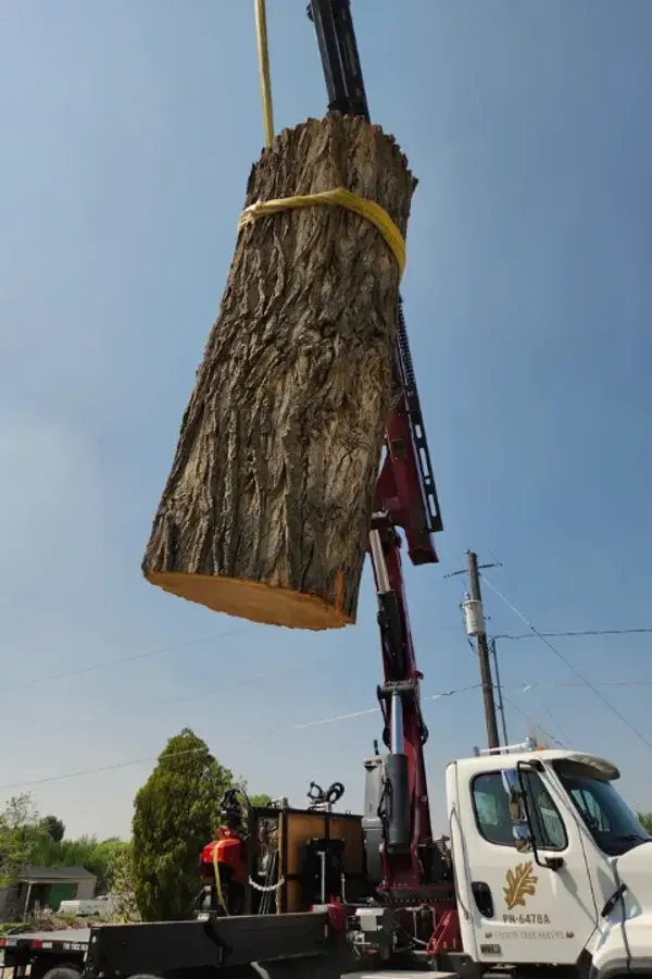 Happy family in front of their home